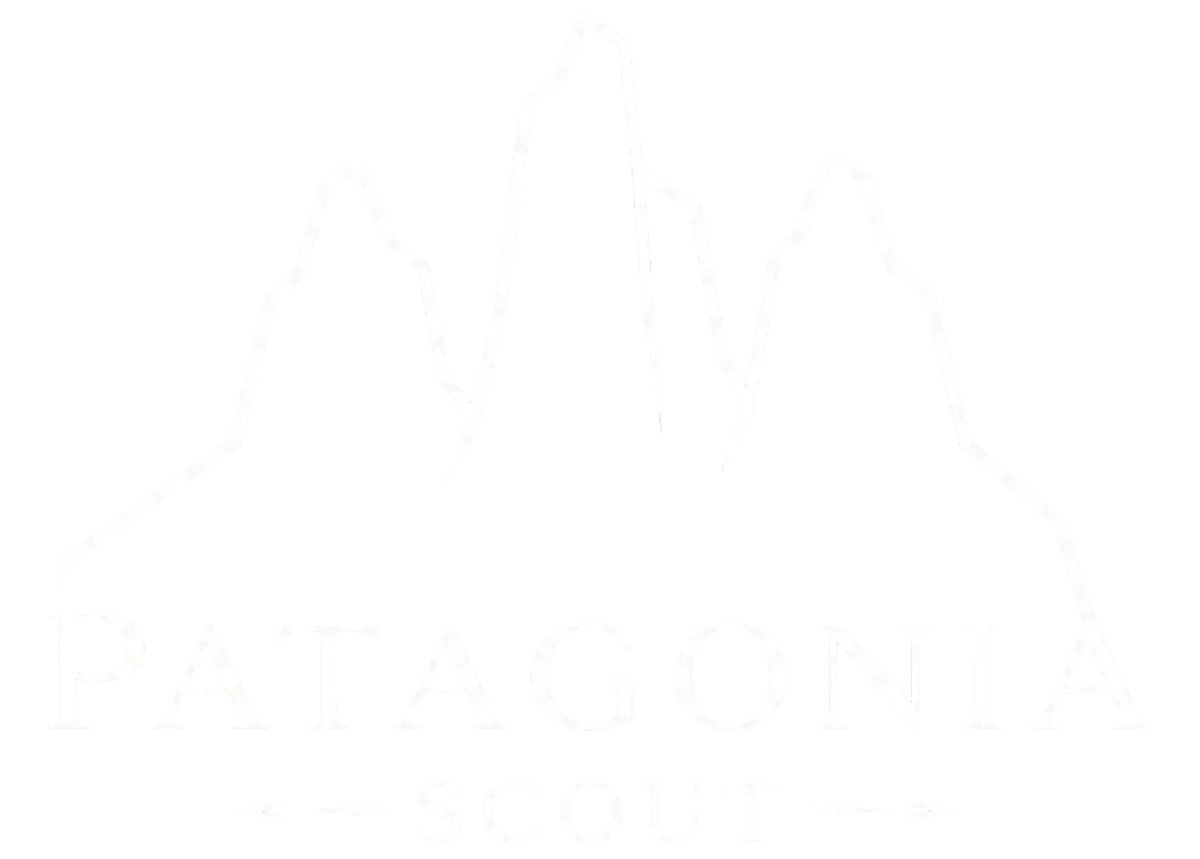 Patagonia Scout